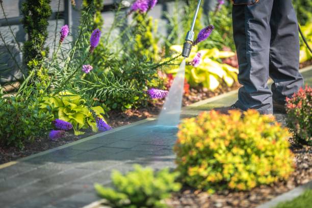 Best Sidewalk and Walkway Cleaning  in Queens, NY